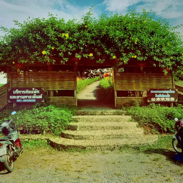 Yun Lai Viewpoint in Pai