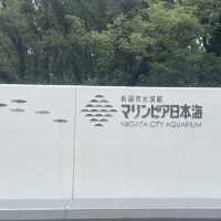 【新潟市水族館マリンピア日本海】