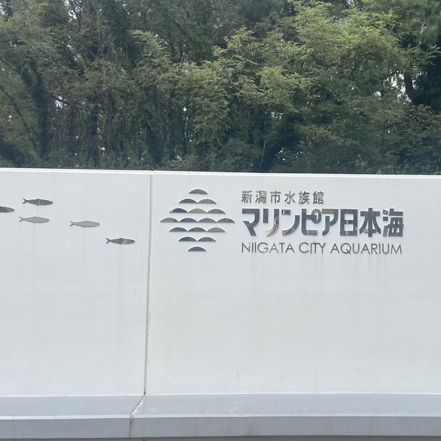 【新潟市水族館マリンピア日本海】