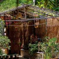 PATTY’S SECRET GARDEN 