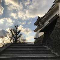 🇯🇵 西日本的美麗城堡 – 和歌山城