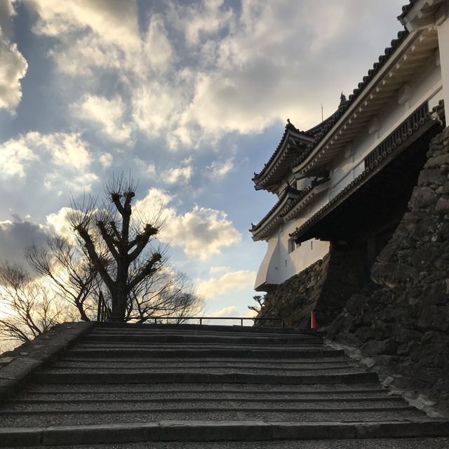🇯🇵 西日本的美麗城堡 – 和歌山城