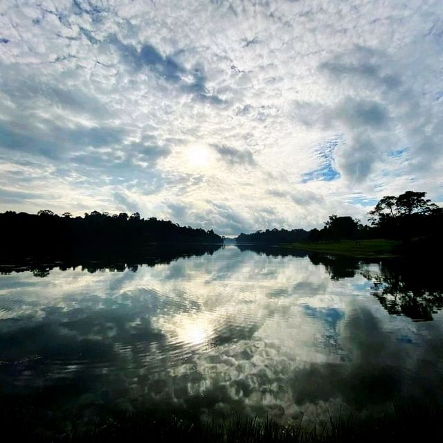 The Scenic Views Of Macritchie Reservoir