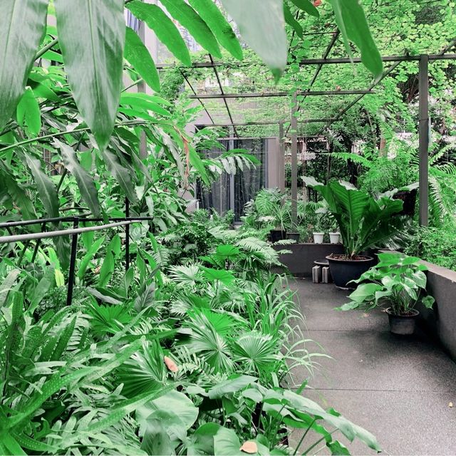 Cozy Nature Cafe near BTS Phrakanong in Bangkok 🌿