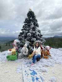 กรีน ฮิลส์ คาเฟ่ (GREEN HILL CAFÉ DA LAT)