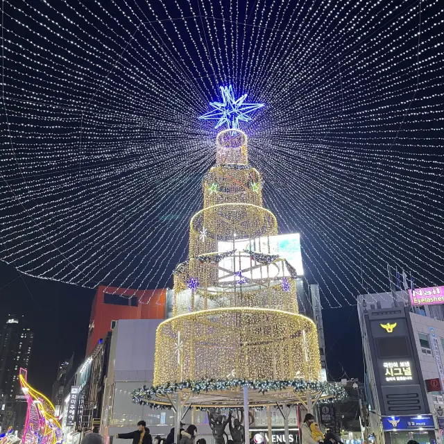 부산 광복로 겨울빛 트리축제