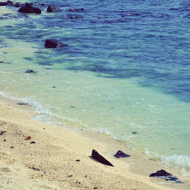 🏖 모래가 아닌 산호로 빛나는 해변, 우도 서빈백사해수욕장