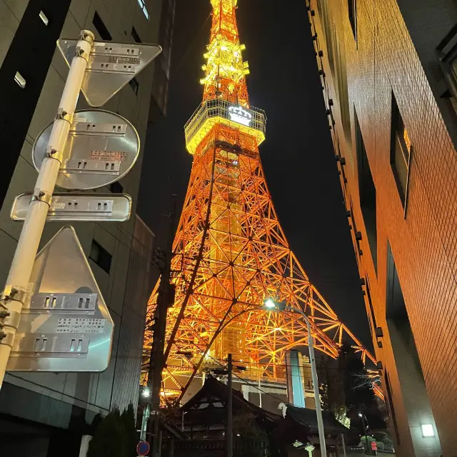 百訪不厭的東京鐵塔🗼