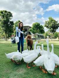 Dutch Farm เชียงใหม่