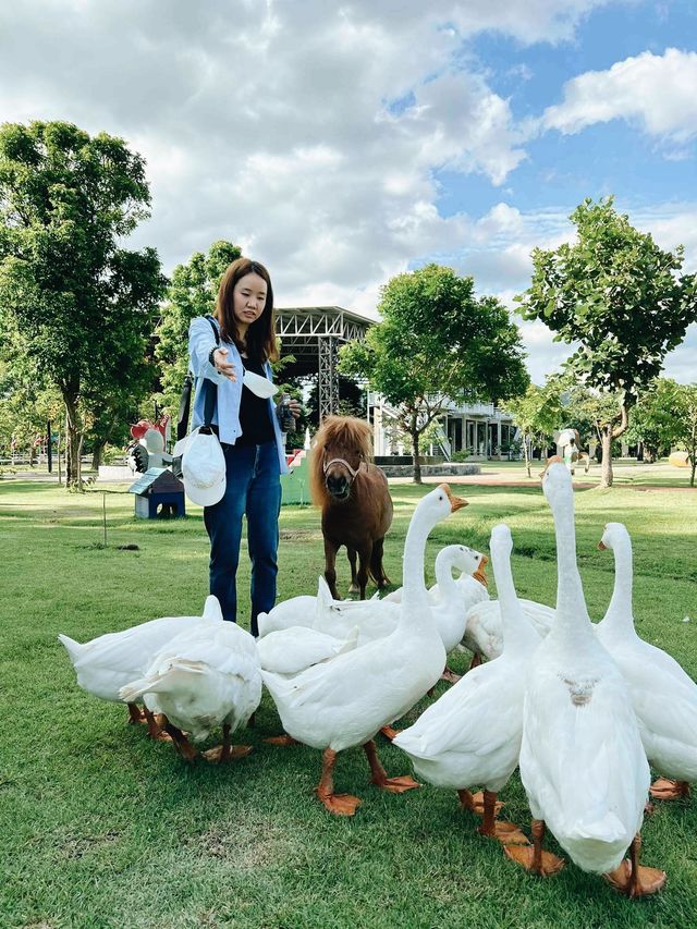 Dutch Farm เชียงใหม่