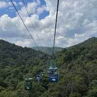 Wild Elephant Valley - Xishuangbanna 