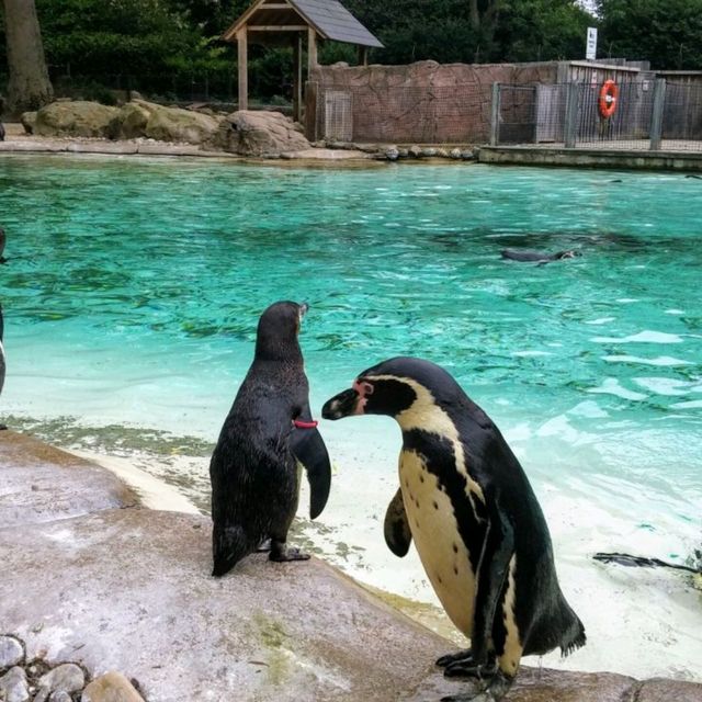 London Zoo