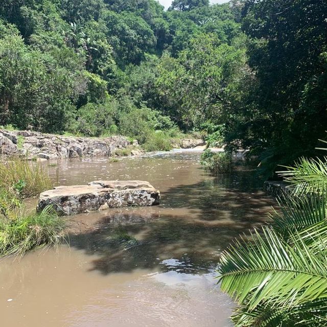 Wild Coast beach, bush and river