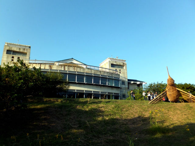 台灣台北｜關渡自然公園