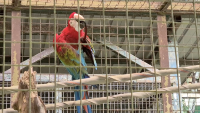 Great experience in Lok KaWi wild life park 