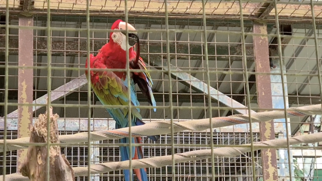 Great experience in Lok KaWi wild life park 