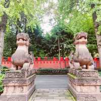 Autumn-Trip to Qingyang Palace in Chengdu