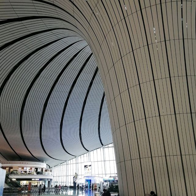 Stunning Daxing Airport in Beijing