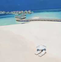 Ma Daisoniwajia Ni's new offer is so cheap that you'll cry. 4 nights all-inclusive.