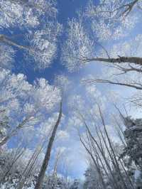 Climbed to the summit of Mount Ryoukou in Japan, one of the 100 famous mountains, during the severe winter season.