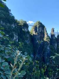 Hubei Yichang Wufeng Tujia Autonomous County Chaibuxi | Chabuxi, a picturesque canyon with three thousand peculiar peaks