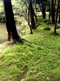 Saihoji Temple——Japan Kyoto