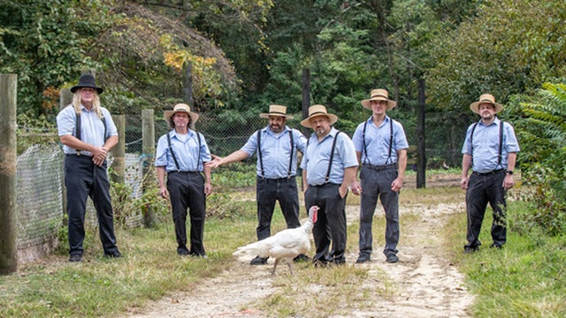 The Amish Outlaws 2024 (Leesburg) | Tally Ho Theater