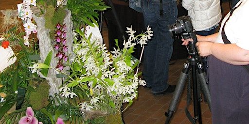 Photographers' ONLY session (Uni and Tripods permitted) | Toronto Botanical Garden