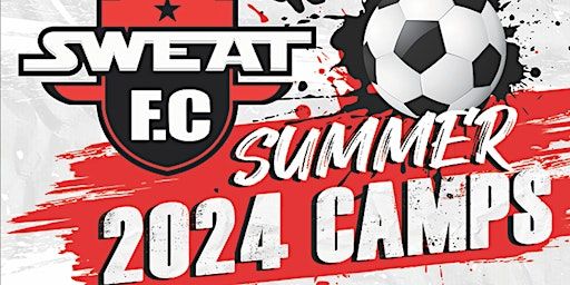Brooklyn Soccer Camps For Kids | 334 Furman St