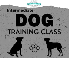 Intermediate Dog Training | 1511 Lockheed Dr Ste 5