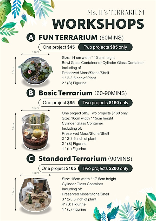 Ms. H Terrarium | 1226 Hollis Street, Halifax, Nova Scotia, Canada