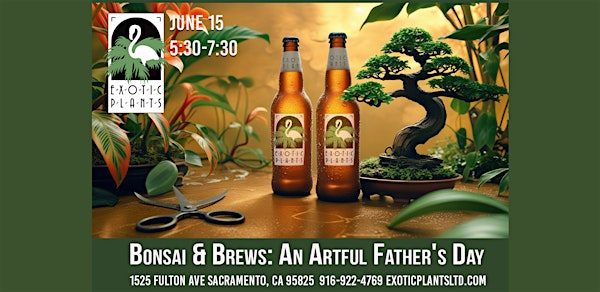 Fathers Day Bonsai & Beer | Exotic Plants Ltd