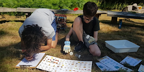 7+ workshop  'Bug Hunt' - College Lake, Wednesday 13 August | College Lake