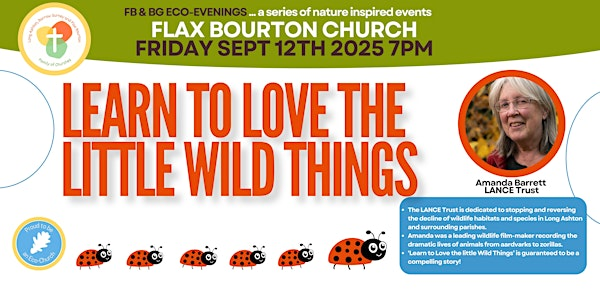 LEARN TO LOVE THE  LITTLE WILD THINGS - a tale of nature recovery | Church of St Michael and All Angels, Flax Bourton