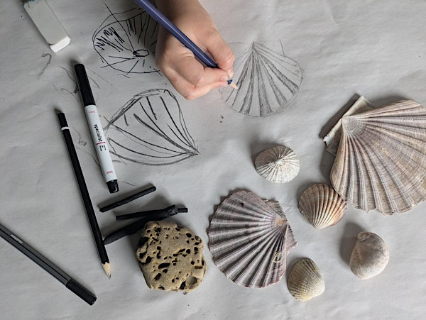 Art CPD for Schools:  Essentials: Teaching Drawing in the Primary Classroom | Wolverhampton School of Art
