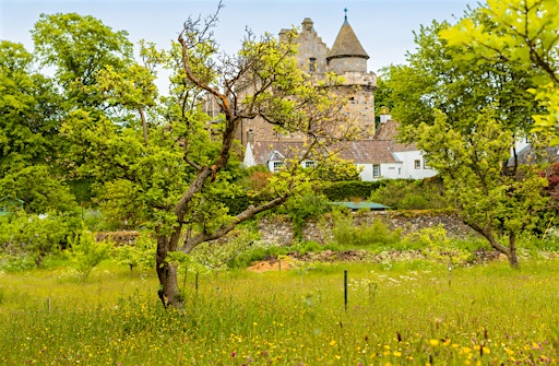 A Royal Teddy Bears Picnic at Falkland Palace | Falkland Palace & Garden