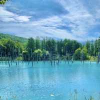 【北海道の魅力】美しすぎる池
