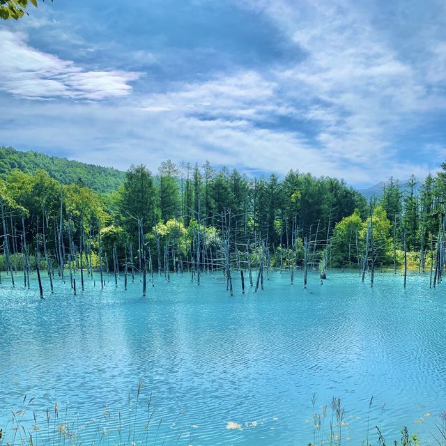 【北海道の魅力】美しすぎる池