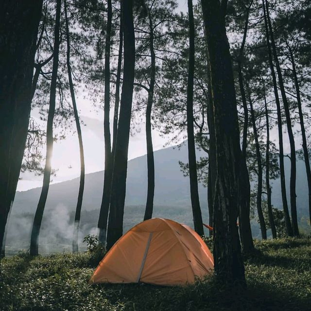 SIKABAYAN HILL - BOGOR