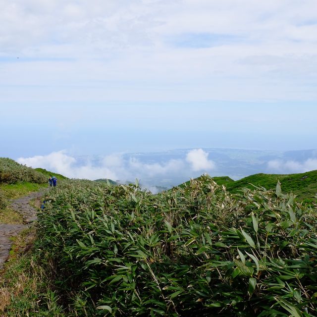 初夏の鳥海山道中