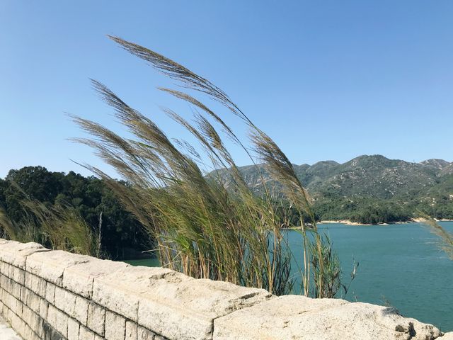 大欖涌水塘