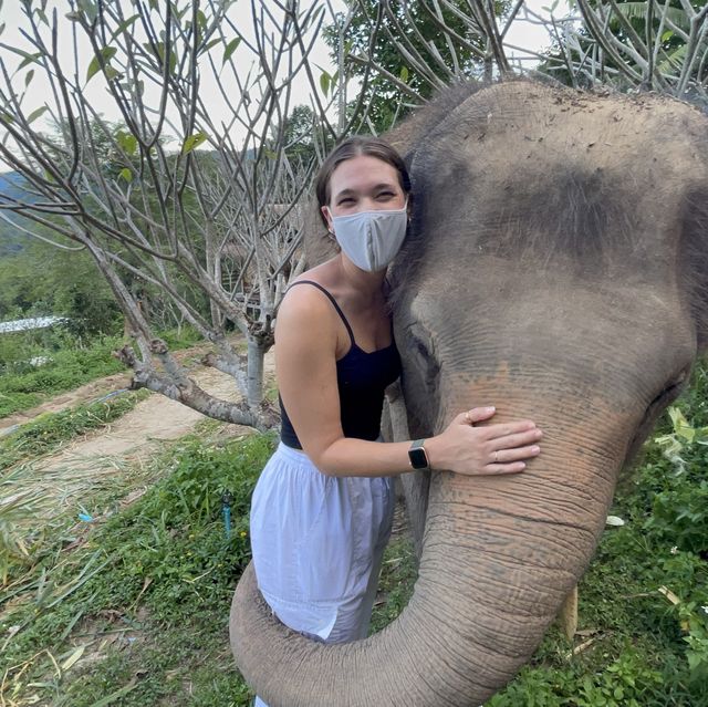 Real Sanctuary for Elephants near Chiang Mai