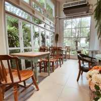 คาเฟ่บรรยากาศร่มรื่น