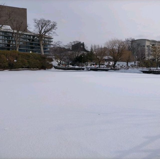 秋田県　千秋公園　雪景