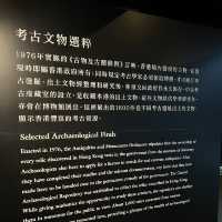 猶如超越時空一樣的展覽～