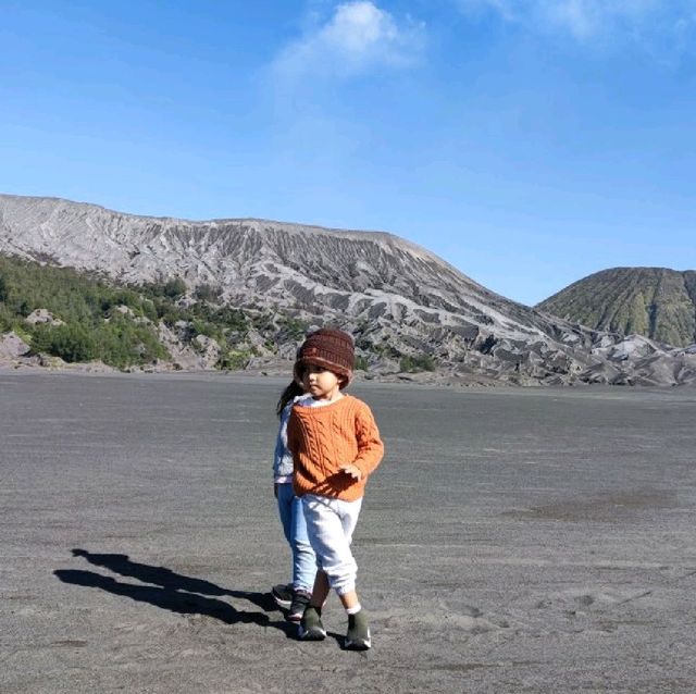 Majectic Bromo