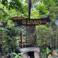 คาเฟ่ธรรมชาติ “ที่นี่บางเบาะ ป่าตอง”