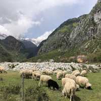 The most amazing hiking spot in Albania 