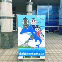 【鹿児島】水路でイルカを無料で見学できる