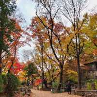 Autumn Foliage at Gilsang Temple